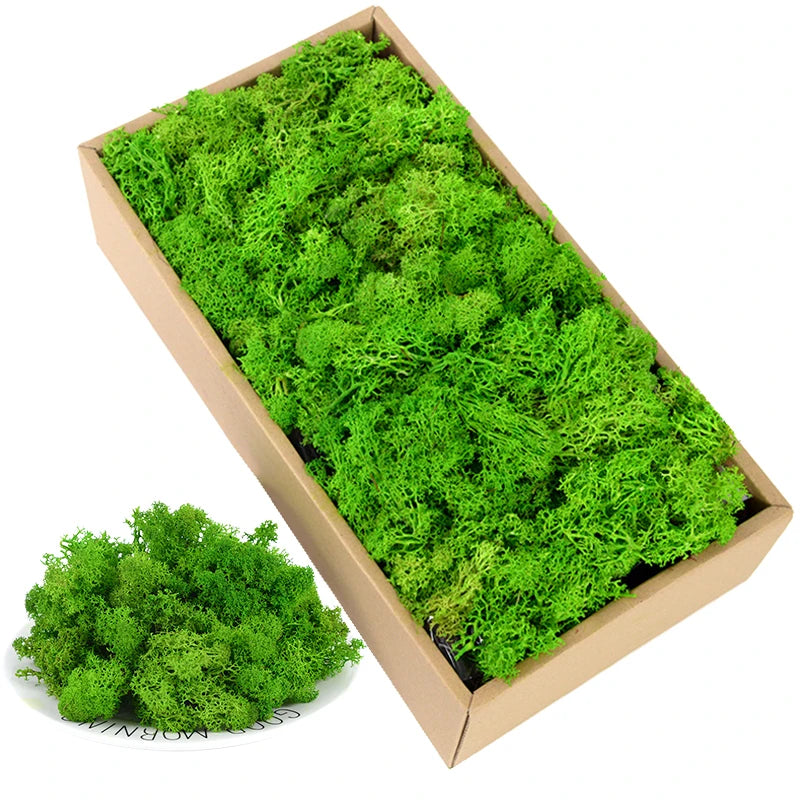 40g Simulation Artificial Moss