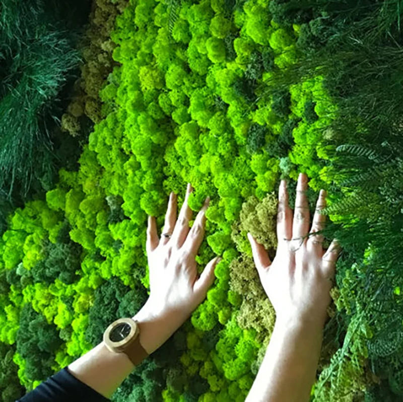 40g Simulation Artificial Moss