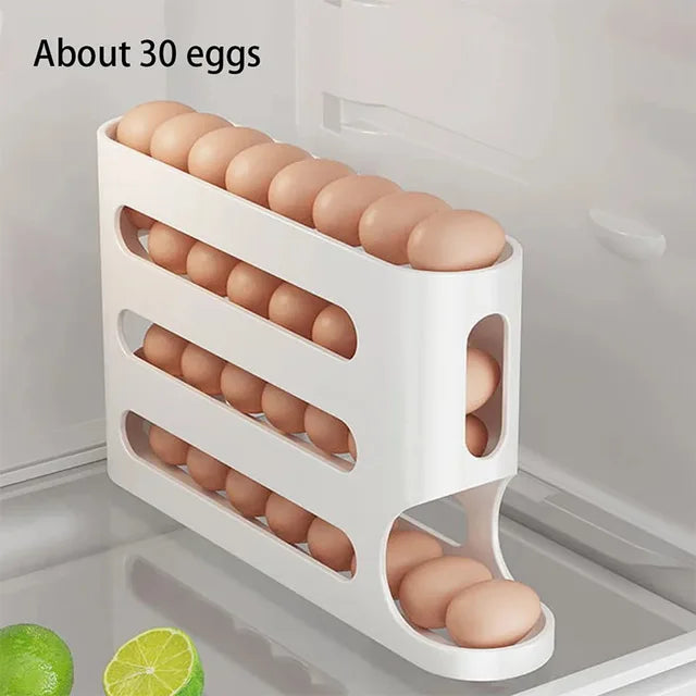 Sliding Rail Egg Shelf Organizer