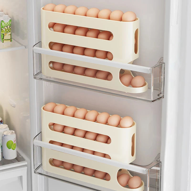 Sliding Rail Egg Shelf Organizer