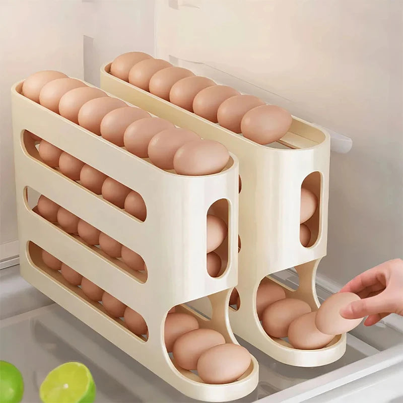 Sliding Rail Egg Shelf Organizer