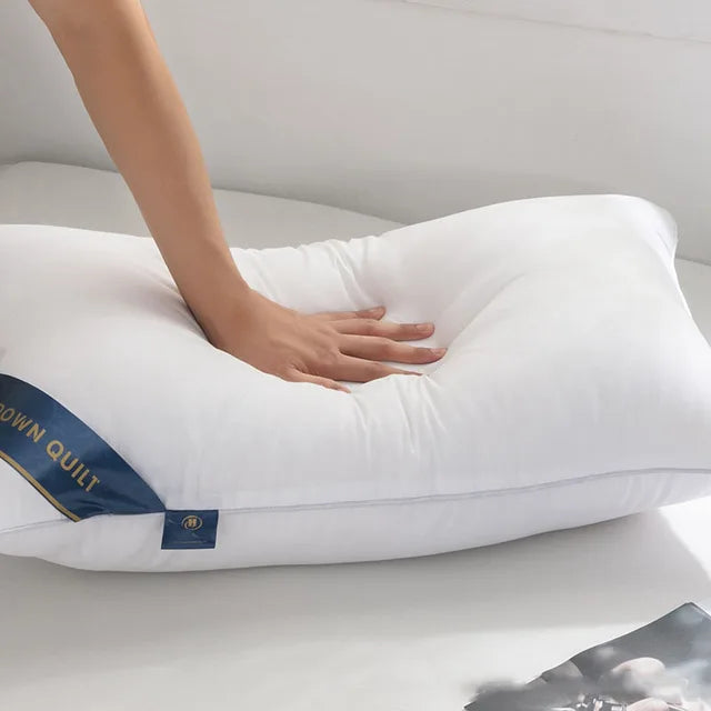 Double top bed stuffed, Five-star soft orthopedic pillow