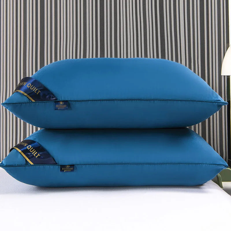 Double top bed stuffed, Five-star soft orthopedic pillow